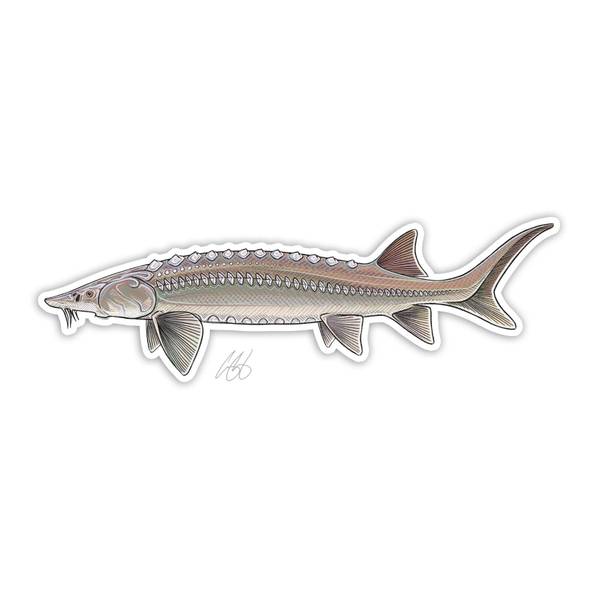 Photo of Sturgeon Vinyl Decal