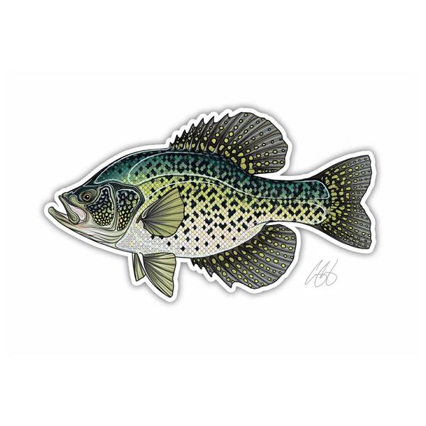 Photo of Black Crappie Vinyl Decal
