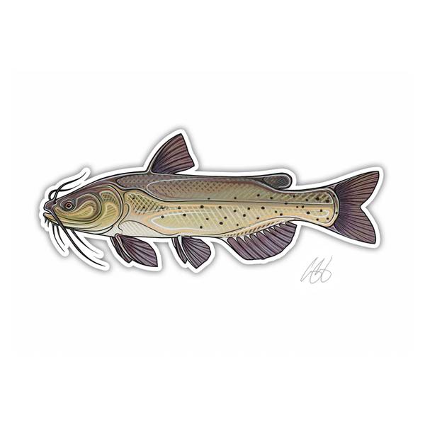 Photo of Channel Catfish Vinyl Decal