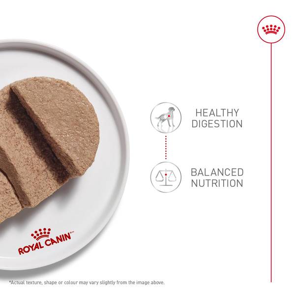 Royal Canin Canine Care Nutrition Digestive Care Loaf in Sauce