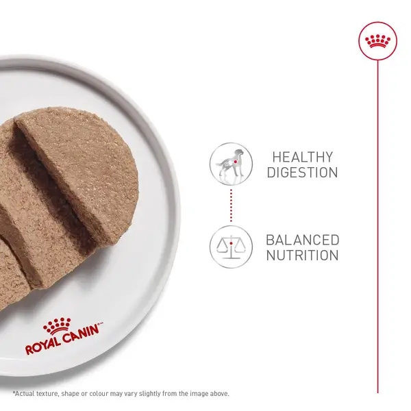 Royal Canin Canine Care Nutrition Digestive Care Loaf in Sauce