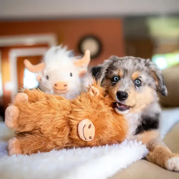 Multipet International Shaggy Highland Cow Dog Toy Assortment
