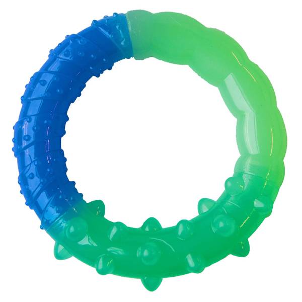Photo of Grow-With-Me Ring Dog Toy