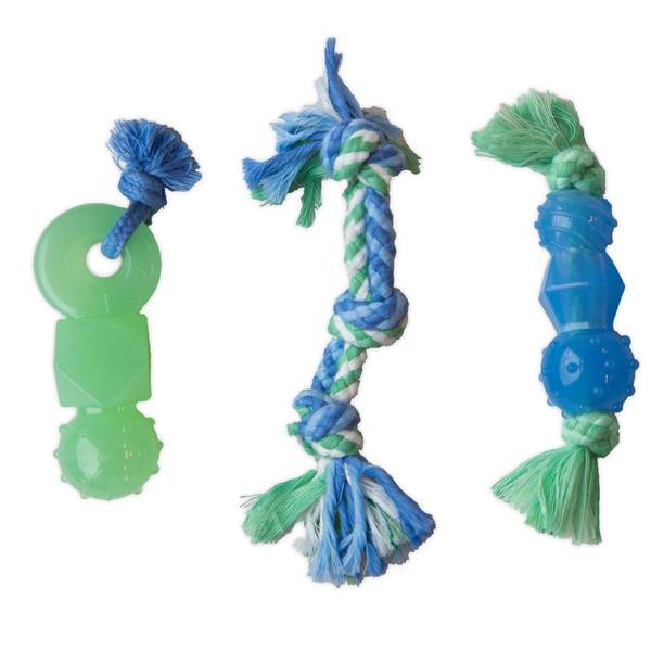 Photo of Mini Dentachew Pack Dog Toys