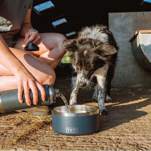 YETI Boomer Dog Bowl 4, 4 Cups, Wetlands Camo - 21071505667