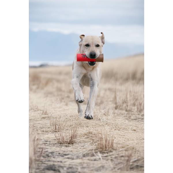 Browning Shot Shell Red Squeaker Dog Toy - P000020260299 | Blain's