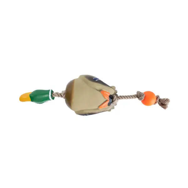 alex4is fishing reel Piscifun Alijoz Size 300 Low Profile Baitcasting Reel Casting Reels Sale, 8.1:1 Grey & Gold / Right Handle Single Handle