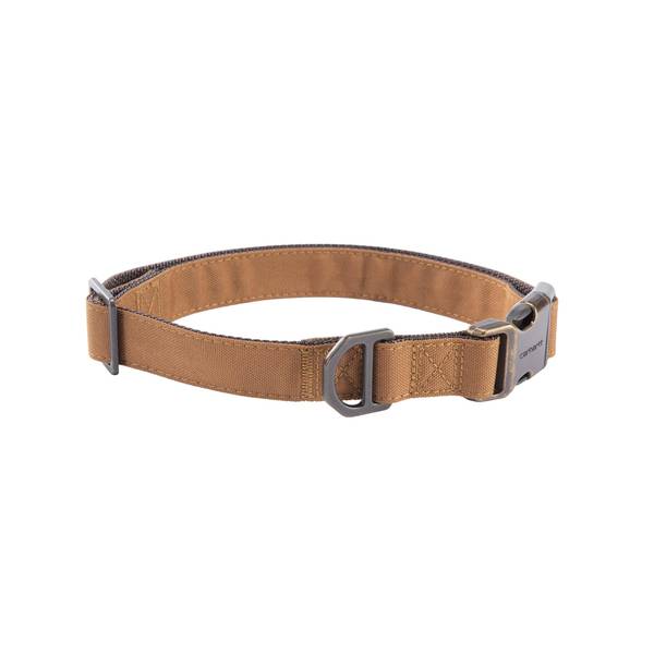 Photo of Large Field Dog Collar