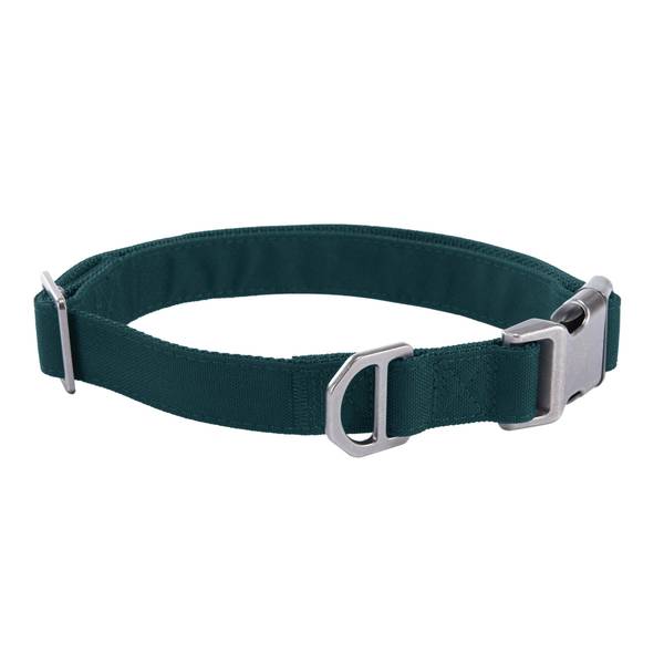 Photo of Field Dog Collar