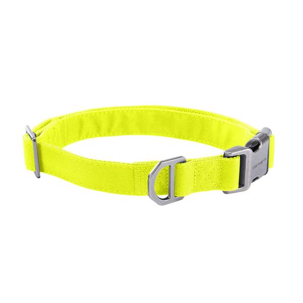 Photo of Medium Field Dog Collar