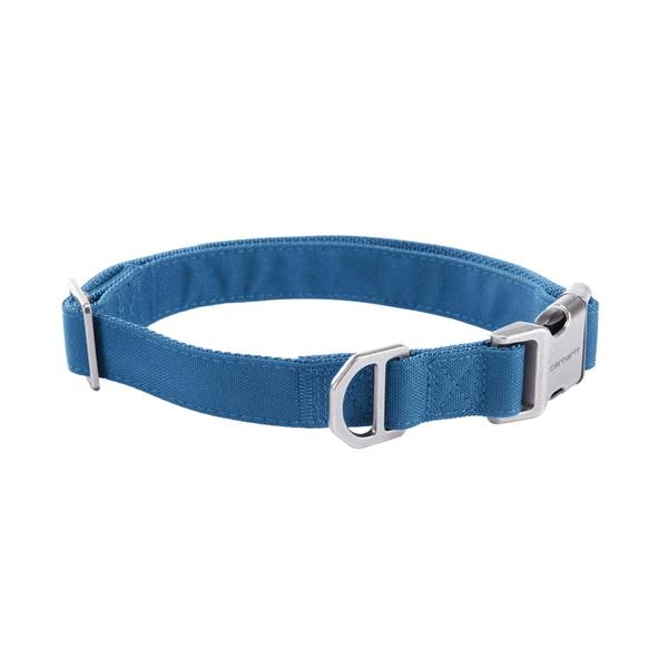 Photo of Large Marine Blue Field Dog Collar