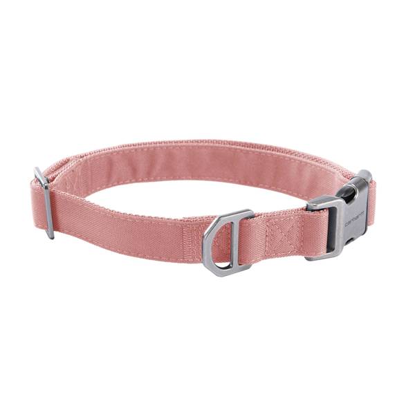 Photo of Medium Field Dog Collar