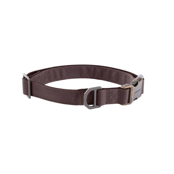 Photo of Medium Field Dog Collar