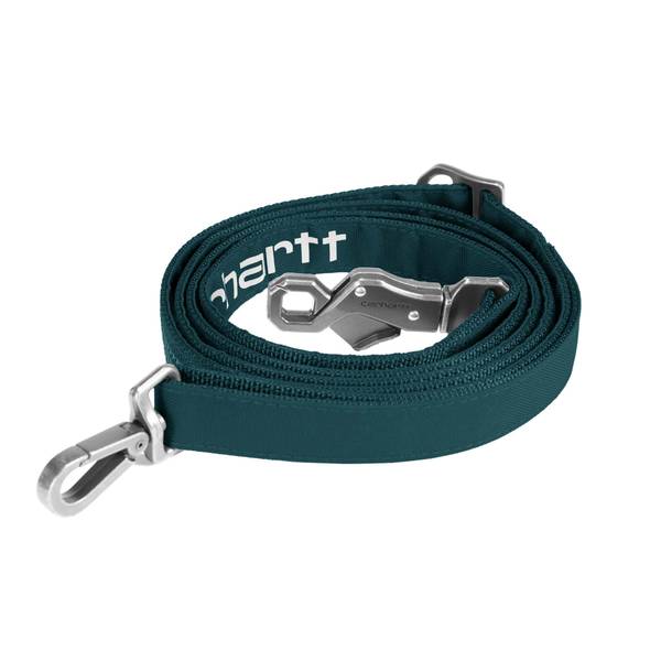Photo of Field Dog Leash