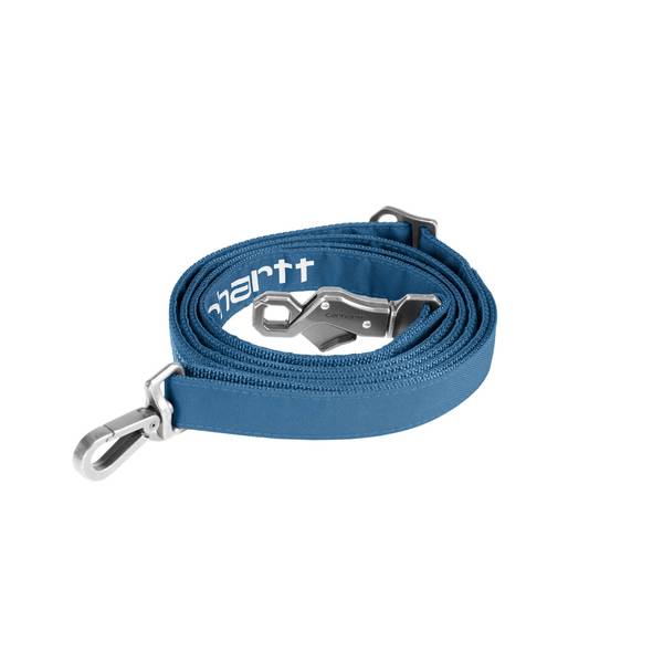 Photo of Field Dog Leash