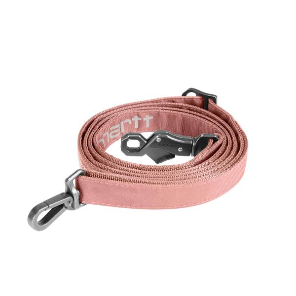 Photo of Field Dog Leash