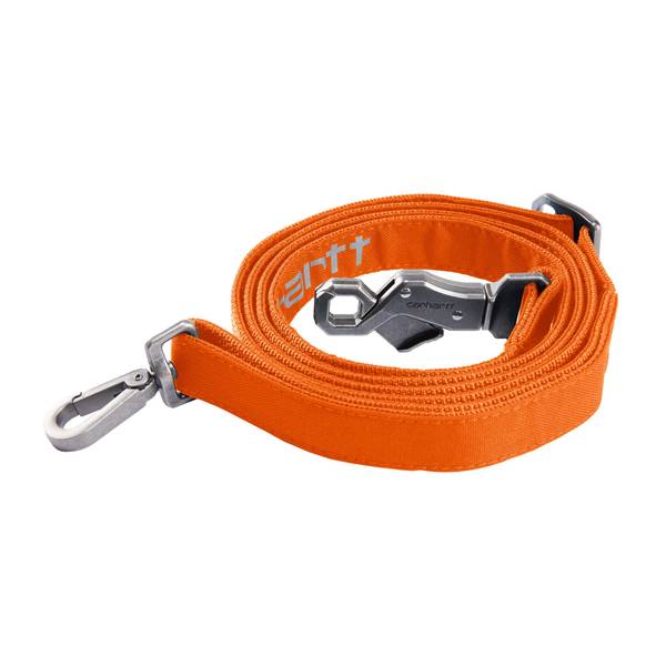 Photo of Large Field Dog Leash