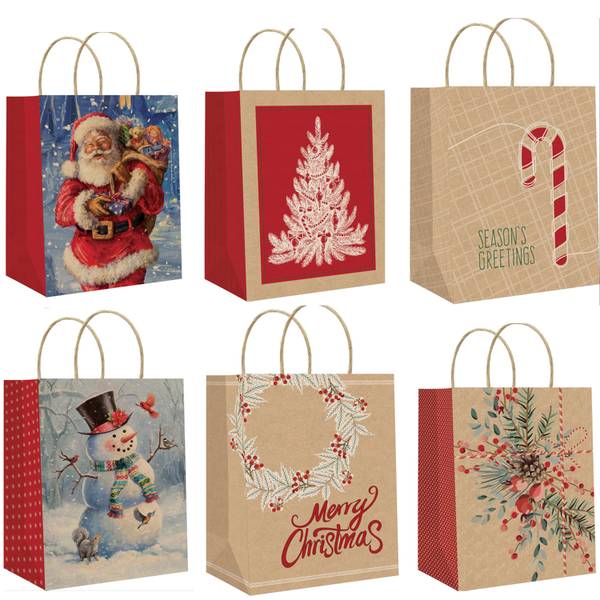 Photo of Large Kraft Gift Bag Assortment