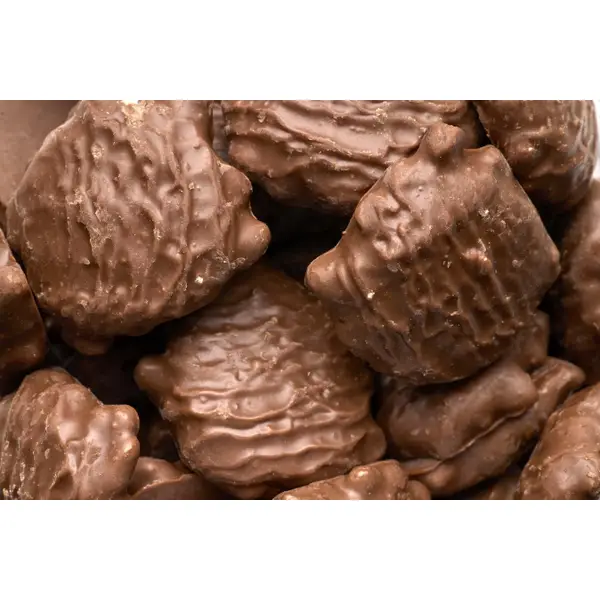 Blain's Farm & Fleet 28 oz Select Milk Chocolate Pecan Clusters