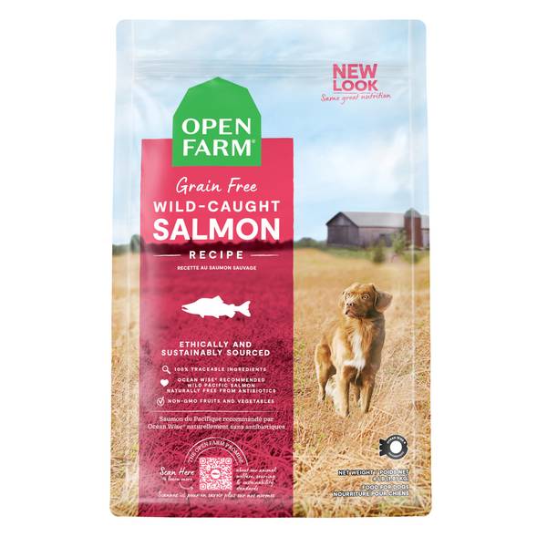 Photo of 4 lb Wild-Caught Salmon Grain Free Kibble Dog Food