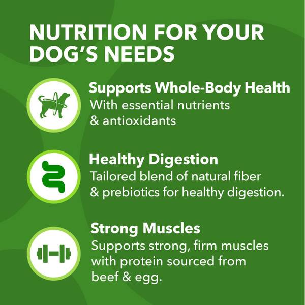 IAMS Proactive Health Adult Beef and Rice Recipe, 5 lb - 73580811