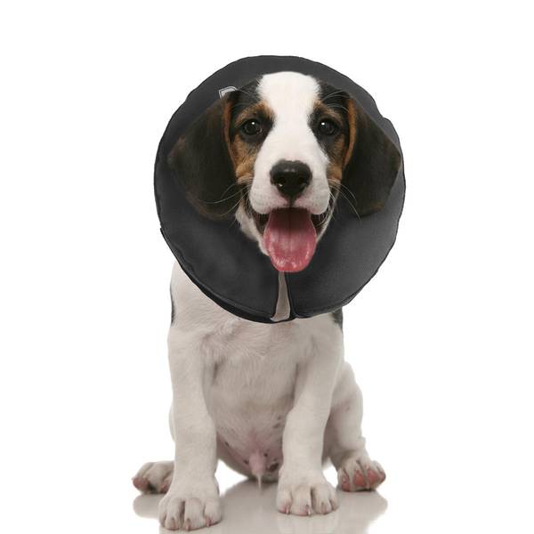 Photo of Small Zen Collar Inflatable Recovery Collar