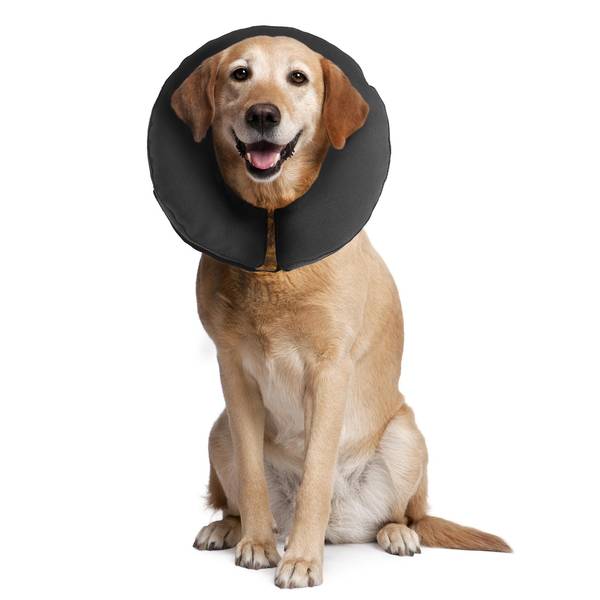 Photo of ZenCollar Inflatable Recovery Collar X-Large