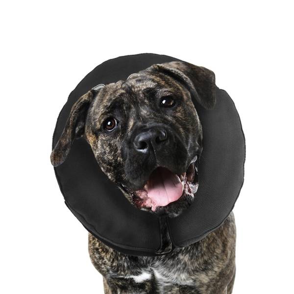 Photo of ZenCollar Inflatable Recovery Collar XX-Large