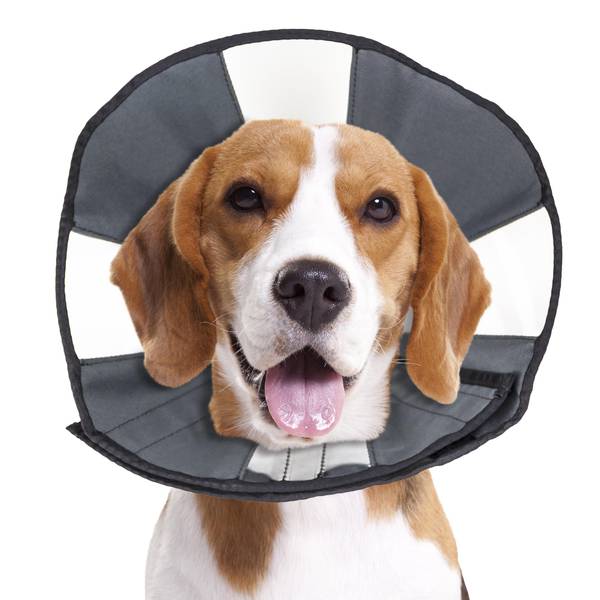 Photo of ZenCone Soft Recovery Collar Medium