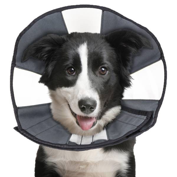 Photo of ZenCone Soft Recovery Collar Large