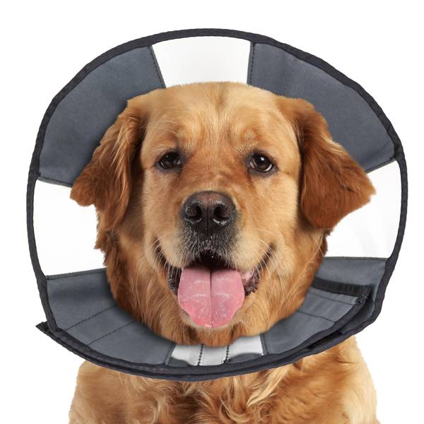 Photo of ZenCone Soft Recovery Collar X-Large