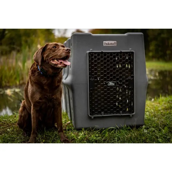 Dakota 283 X-Large Coyote Granite Canine Rough and Tough Economy