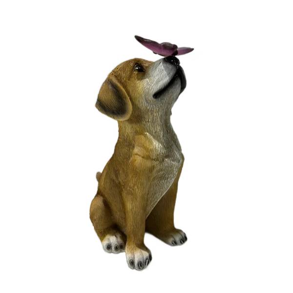 Photo of Solar Cute Dog Playing With Butterfly With LED Light