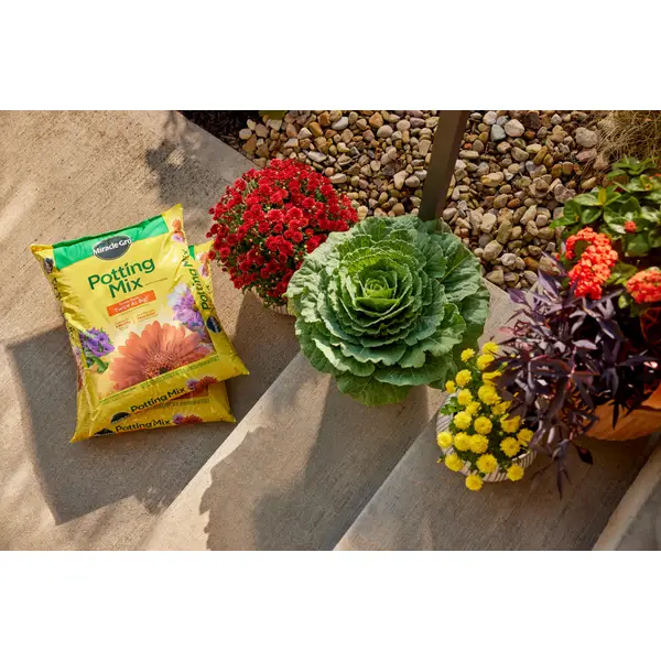 Miracle-Gro All Purpose Garden Soil - 75030432 | Blain's Farm & Fleet