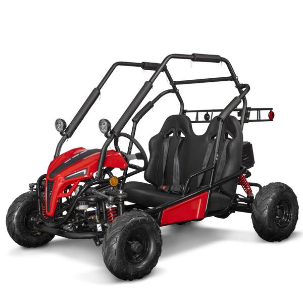 Photo of 48V 20AH 2 Seat Go Kart