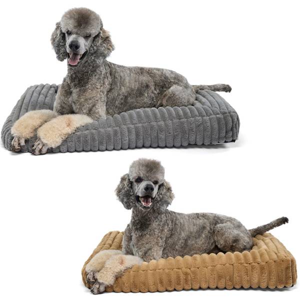 Photo of 27" x 36" Keely Ultra Plush Bolster Bed Assortment