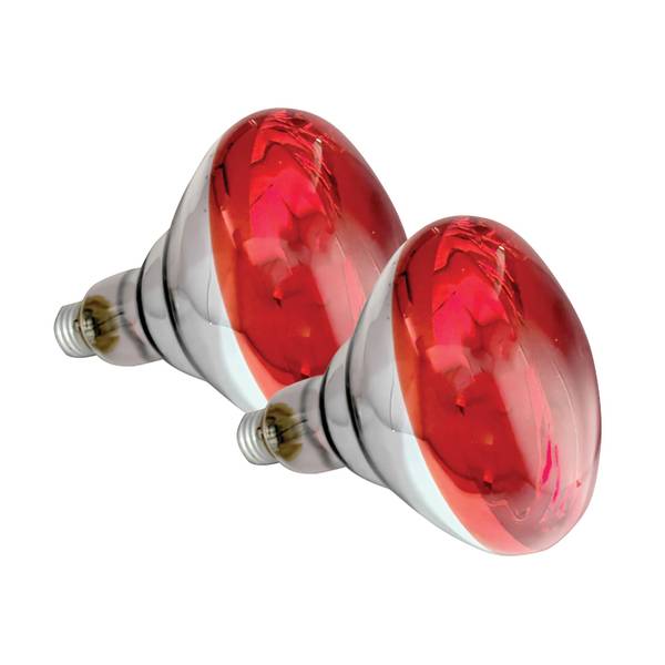 Photo of 2-Pack 250W Red Heat Lamp