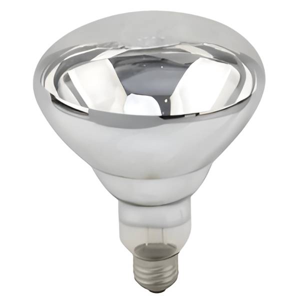 Photo of 2-Pack 250W Clear Heat Lamp