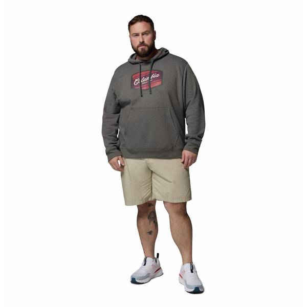 Columbia Men's Trek Graphic Hoodie - 2018491035-M | Blain's Farm