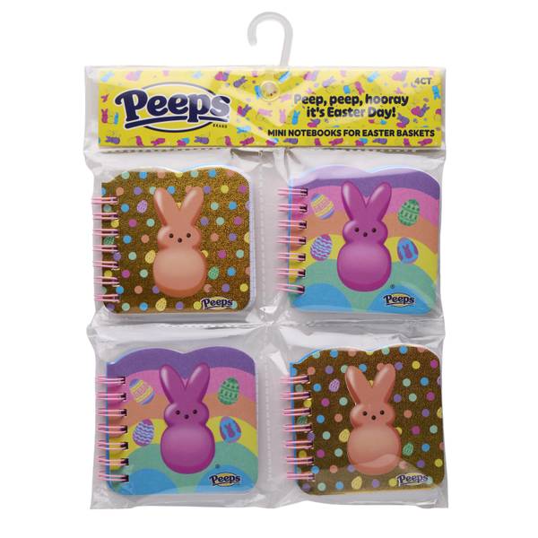 Photo of 4-Pack Mini Notebooks