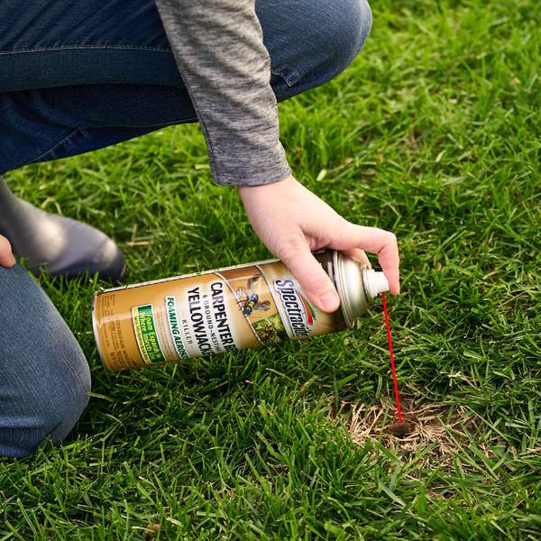 Spectrum 16 oz Spectracide Carpenter Bee And Ground-Nesting