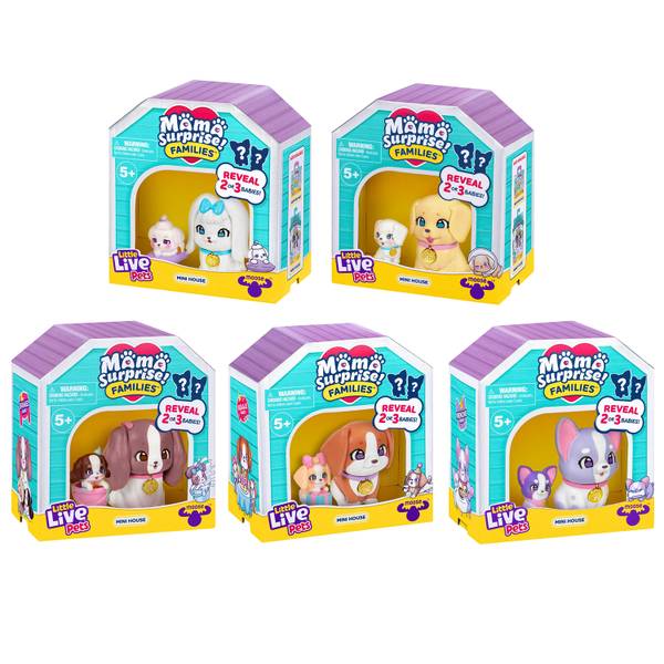 Photo of Mama Surprise Families