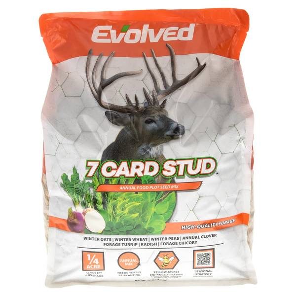 Photo of 7 Card Stud 10lb