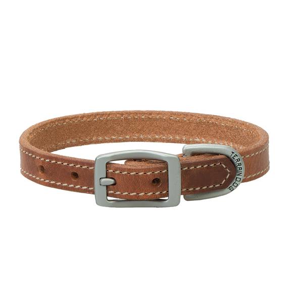 Photo of 3/4" x 17" Harness Leather Dog Collar