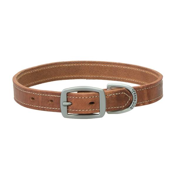 Photo of 1" x 23" Harness Leather Dog Collar