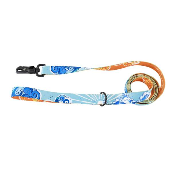 Photo of 1" x 6' Medium/Large Land & Sea Dog Leash