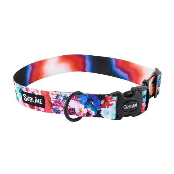 Photo of 1 1/2" x 18"-26" Large Floral Jelly Adjustable Dog Collar