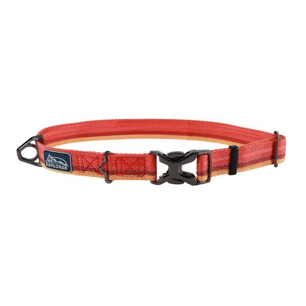 Photo of 12"-18" Medium Sahara Adjustable Dog Collar
