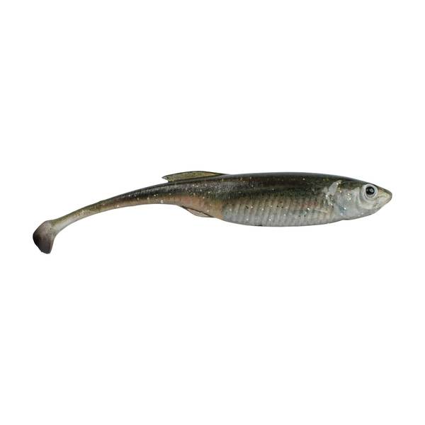 Photo of Drip Swimmer 3" HD Spottail Shiner