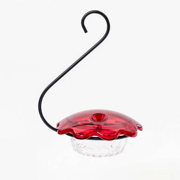 Photo of Hummingbird Single Cup Feeder